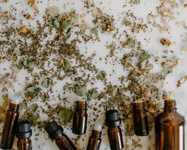 fitoterapia funziona