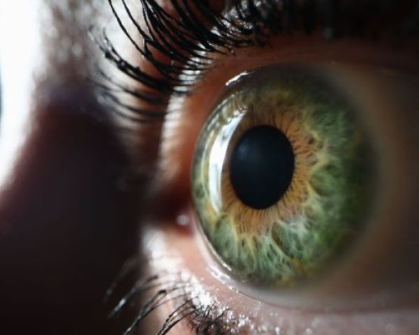 iridologia