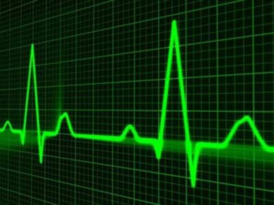 Il sistema cardiocircolatorio e importanza del cuore nel sistema endocrino