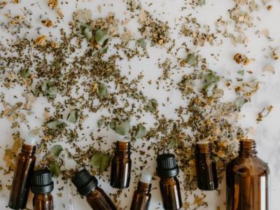 fitoterapia funziona